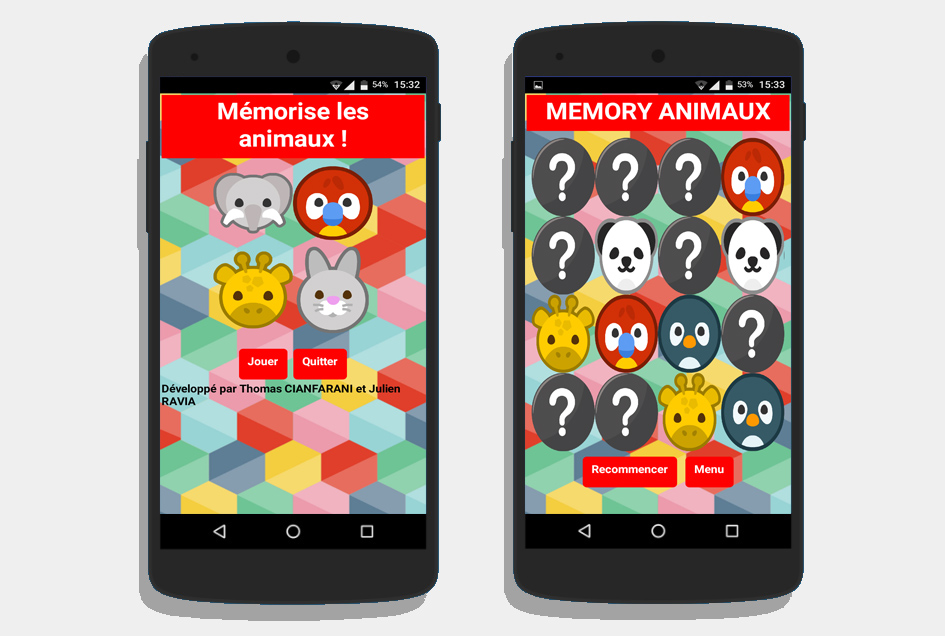 Capture Memory Animaux